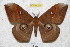  ( - BC-RBP 2800)  @14 [ ] Copyright (2010) Unspecified Research Collection of Ron Brechlin