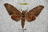  ( - BC-RBP 2851)  @12 [ ] Copyright (2010) Unspecified Research Collection of Ron Brechlin