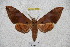  ( - BC-RBP 2852)  @12 [ ] Copyright (2010) Unspecified Research Collection of Ron Brechlin