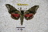  ( - BC-RBP 2856)  @13 [ ] Copyright (2010) Unspecified Research Collection of Ron Brechlin