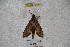  ( - BC-RBP 2860)  @12 [ ] Copyright (2010) Unspecified Research Collection of Ron Brechlin