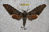  ( - BC-RBP 2980)  @12 [ ] Copyright (2010) Unspecified Research Collection of Ron Brechlin