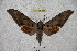  ( - BC-RBP 2981)  @12 [ ] Copyright (2010) Unspecified Research Collection of Ron Brechlin