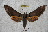  ( - BC-RBP 2982)  @12 [ ] Copyright (2010) Unspecified Research Collection of Ron Brechlin