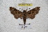  ( - BC-RBP 2999)  @12 [ ] Copyright (2010) Unspecified Research Collection of Patrick Basquin