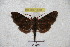  ( - BC-RBP 3004)  @12 [ ] Copyright (2010) Unspecified Research Collection of Patrick Basquin