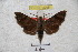  ( - BC-RBP 3005)  @13 [ ] Copyright (2010) Unspecified Research Collection of Patrick Basquin
