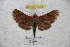  ( - BC-RBP 3008)  @13 [ ] Copyright (2010) Unspecified Research Collection of Patrick Basquin