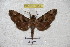  ( - BC-RBP 3014)  @13 [ ] Copyright (2010) Unspecified Research Collection of Patrick Basquin