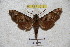  ( - BC-RBP 3015)  @12 [ ] Copyright (2010) Unspecified Research Collection of Patrick Basquin