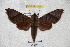  ( - BC-RBP 3035)  @14 [ ] Copyright (2010) Unspecified Research Collection of Patrick Basquin