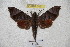  ( - BC-RBP 3037)  @12 [ ] Copyright (2010) Unspecified Research Collection of Ron Brechlin