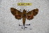  ( - BC-RBP 3045)  @13 [ ] Copyright (2010) Unspecified Research Collection of Patrick Basquin