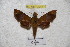  ( - BC-RBP 3047)  @13 [ ] Copyright (2010) Unspecified Research Collection of Patrick Basquin