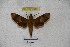  ( - BC-RBP 3050)  @13 [ ] Copyright (2010) Unspecified Research Collection of Patrick Basquin