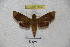  ( - BC-RBP 3054)  @13 [ ] Copyright (2010) Unspecified Research Collection of Patrick Basquin
