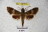  ( - BC-RBP 3074)  @12 [ ] Copyright (2010) Unspecified Research Collection of Patrick Basquin