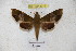  ( - BC-RBP 3076)  @12 [ ] Copyright (2010) Unspecified Research Collection of Patrick Basquin