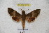  ( - BC-RBP 3078)  @12 [ ] Copyright (2010) Unspecified Research Collection of Patrick Basquin
