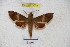  ( - BC-RBP 3079)  @12 [ ] Copyright (2010) Unspecified Research Collection of Patrick Basquin