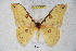  ( - BC-RBP 3080)  @11 [ ] Copyright (2010) Unspecified Research Collection of Ron Brechlin
