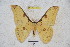  ( - BC-RBP 3081)  @11 [ ] Copyright (2010) Unspecified Research Collection of Ron Brechlin