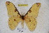  ( - BC-RBP 3083)  @13 [ ] Copyright (2010) Unspecified Research Collection of Ron Brechlin