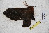  ( - BC-RBP 3111)  @12 [ ] Copyright (2010) Unspecified Research Collection of Ron Brechlin