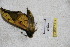  ( - BC-RBP 3113)  @12 [ ] Copyright (2010) Unspecified Research Collection of Ron Brechlin