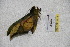 ( - BC-RBP 3114)  @12 [ ] Copyright (2010) Unspecified Research Collection of Ron Brechlin