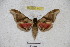  ( - BC-RBP 3127)  @12 [ ] Copyright (2010) Unspecified Research Collection of Ron Brechlin