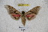  ( - BC-RBP 3128)  @13 [ ] Copyright (2010) Unspecified Research Collection of Ron Brechlin