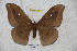  ( - BC-RBP 3221)  @13 [ ] Copyright (2010) Unspecified Research Collection of Ron Brechlin