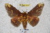 ( - BC-RBP 3278)  @13 [ ] Copyright (2010) Unspecified Research Collection of Ron Brechlin