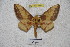  ( - BC-RBP 3282)  @14 [ ] Copyright (2010) Unspecified Research Collection of Ron Brechlin