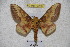  ( - BC-RBP 3283)  @15 [ ] Copyright (2010) Unspecified Research Collection of Ron Brechlin