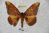 ( - BC-RBP 3286)  @12 [ ] Copyright (2010) Unspecified Research Collection of Ron Brechlin