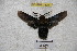  ( - BC-RBP 3300)  @12 [ ] Copyright (2010) Unspecified Research Collection of Ron Brechlin