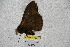  ( - BC-RBP 3304)  @12 [ ] Copyright (2010) Unspecified Research Collection of Ron Brechlin