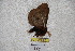  ( - BC-RBP 3309)  @12 [ ] Copyright (2010) Unspecified Research Collection of Ron Brechlin
