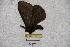  ( - BC-RBP 3311)  @13 [ ] Copyright (2010) Unspecified Research Collection of Ron Brechlin