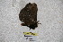  ( - BC-RBP 3312)  @13 [ ] Copyright (2010) Unspecified Research Collection of Ron Brechlin