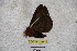  ( - BC-RBP 3314)  @12 [ ] Copyright (2010) Unspecified Research Collection of Ron Brechlin