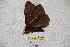  ( - BC-RBP 3315)  @12 [ ] Copyright (2010) Unspecified Research Collection of Ron Brechlin