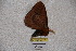  ( - BC-RBP 3317)  @13 [ ] Copyright (2010) Unspecified Research Collection of Ron Brechlin