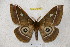  ( - BC-RBP 3448)  @15 [ ] Copyright (2010) Unspecified Research Collection of Ron Brechlin