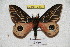 ( - BC-RBP 3873)  @14 [ ] Copyright (2010) Unspecified Research Collection of Ron Brechlin