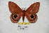  ( - BC-RBP 3986)  @14 [ ] Copyright (2010) Unspecified Research Collection of Ron Brechlin