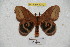  ( - BC-RBP 4040)  @12 [ ] Copyright (2010) Unspecified Research Collection of Ron Brechlin