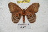  ( - BC-RBP 4044)  @13 [ ] Copyright (2010) Unspecified Research Collection of Ron Brechlin